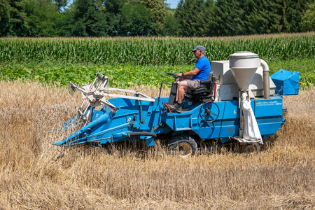 Dobrovnik - 2000 semen - ZETEV 2025-1184907